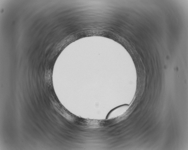 X0000086070144200704202135