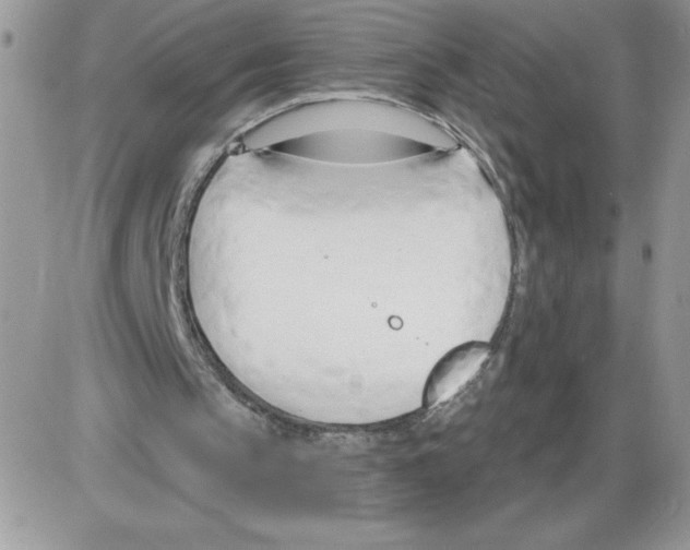 X0000086070145200704202135