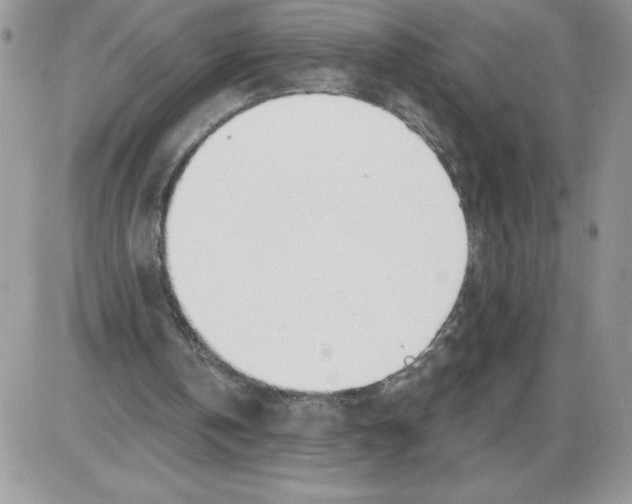 X0000086070146200704202135