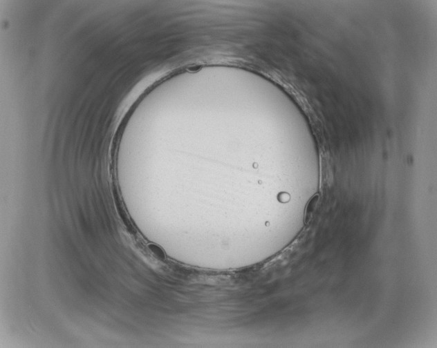 X0000086070147200704202135