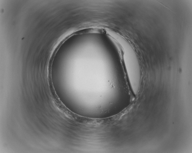 X0000086070148200704202135