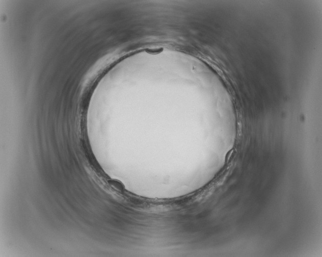 X0000086070149200704202135