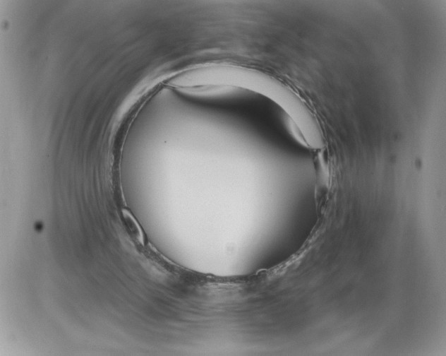 X0000086070150200704202135