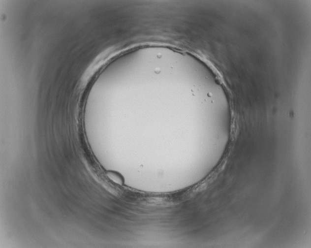 X0000086070151200704202135