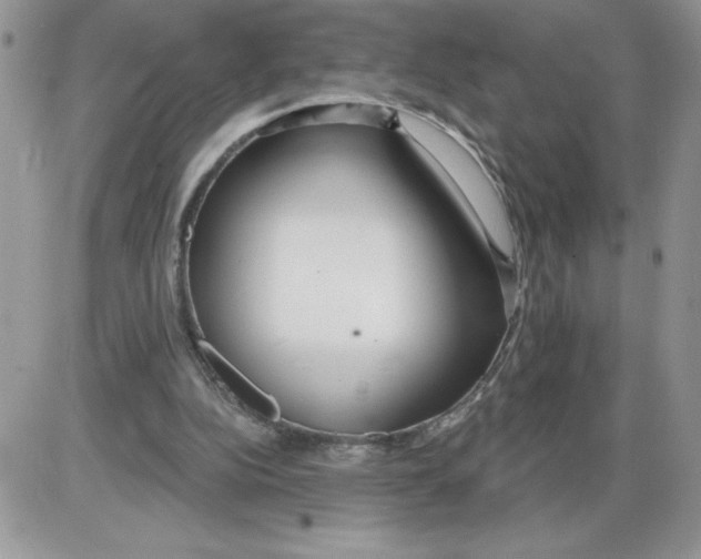 X0000086070152200704202135