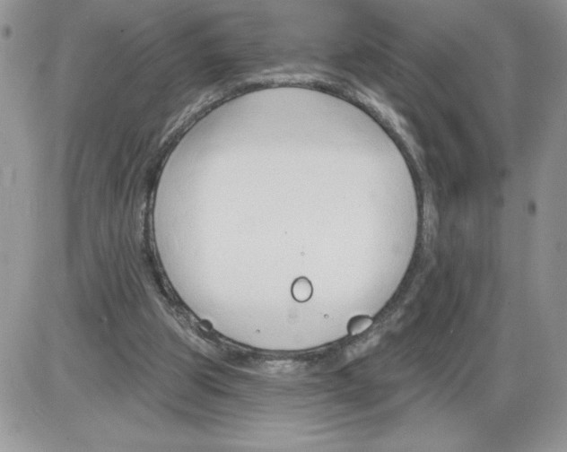 X0000086070153200704202135