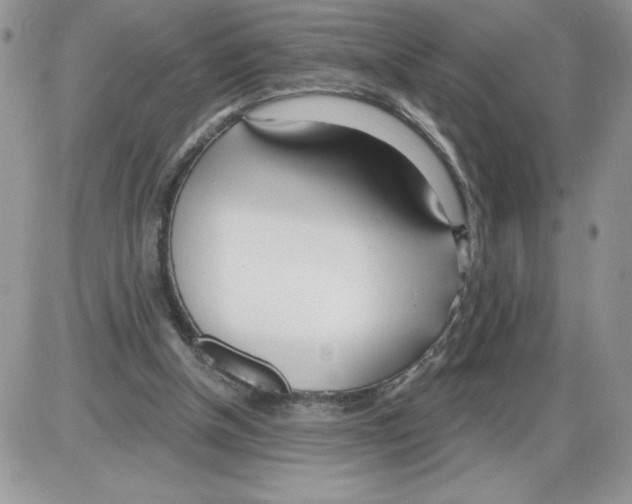 X0000086070154200704202135