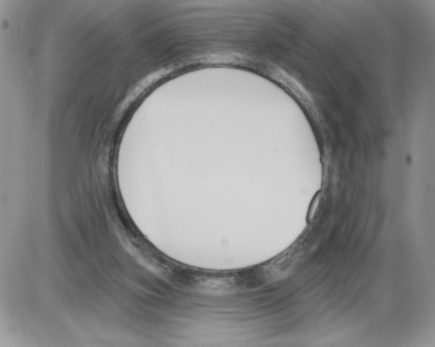 X0000086070155200704202135