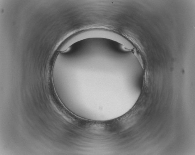 X0000086070156200704202135