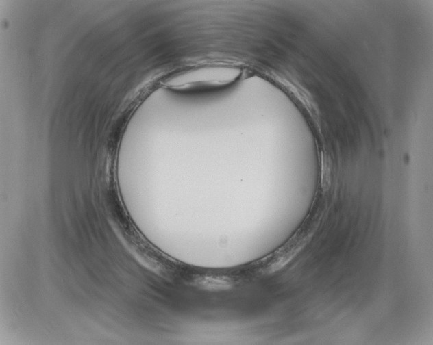 X0000086070157200704202135