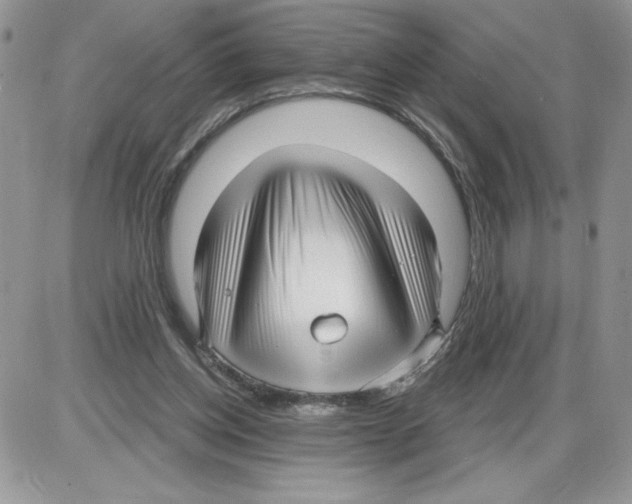 X0000086070158200704202135