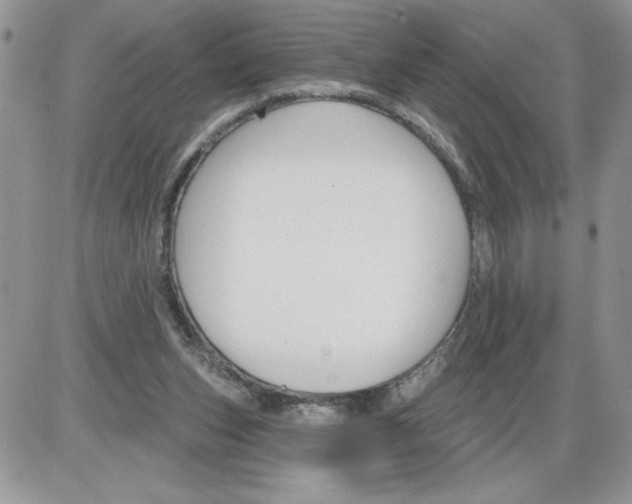 X0000086070159200704202135