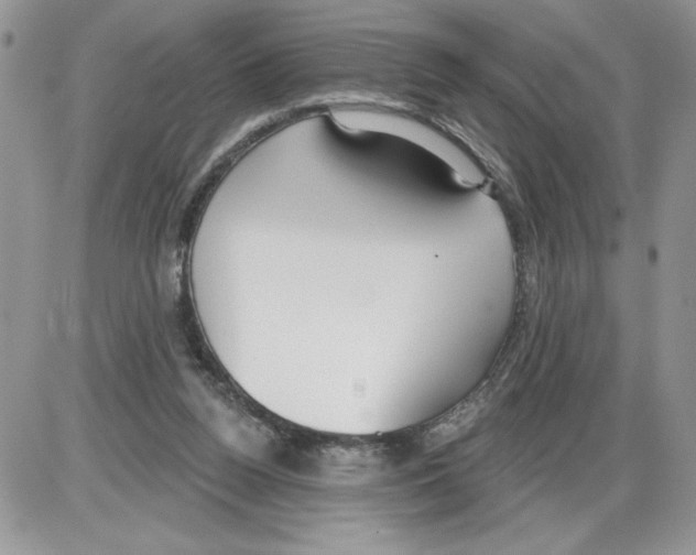 X0000086070160200704202135