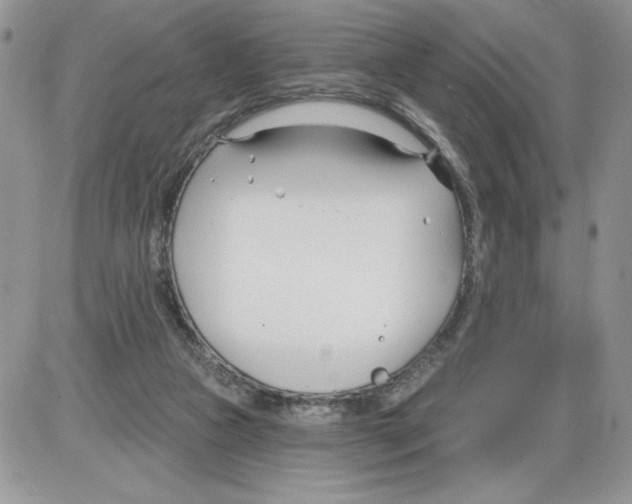 X0000086070161200704202135