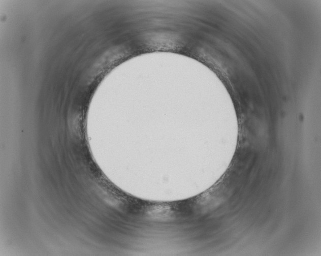 X0000086070162200704202135