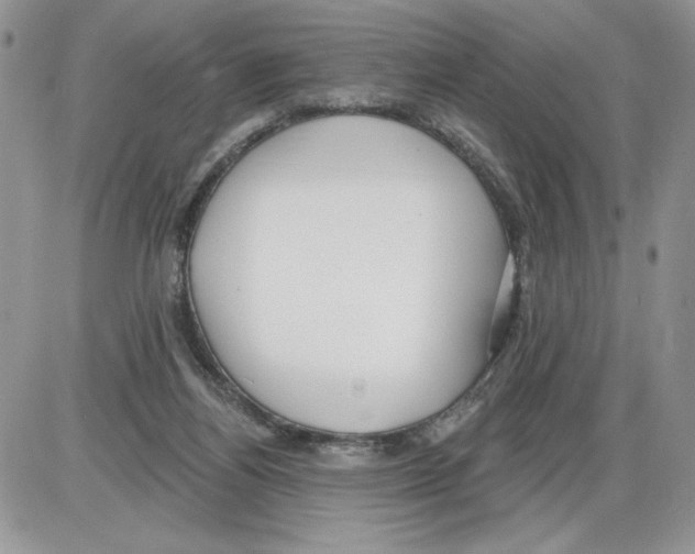 X0000086070164200704202135