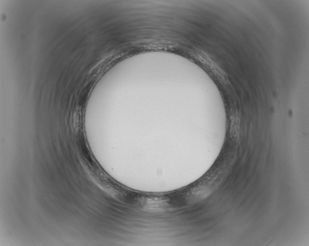 X0000086070165200704202135