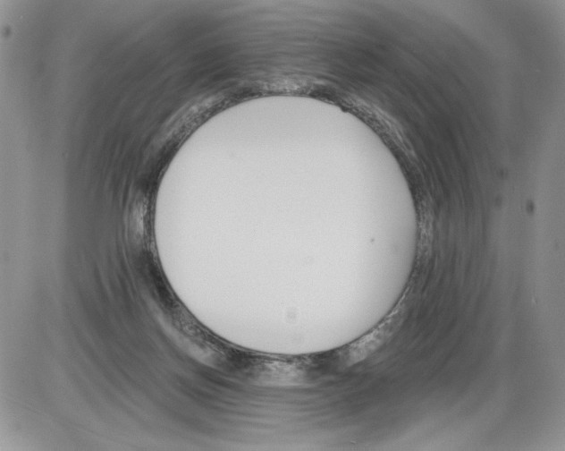 X0000086070166200704202135