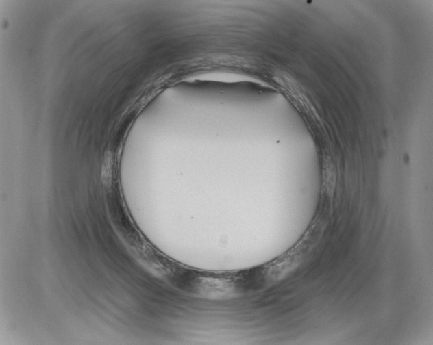 X0000086070167200704202135