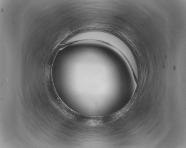 X0000086070168200704202135