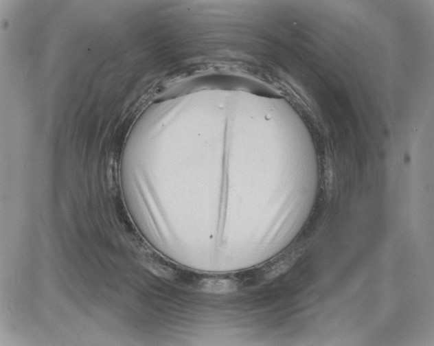 X0000086070169200704202135