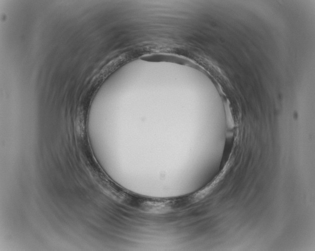 X0000086070170200704202135