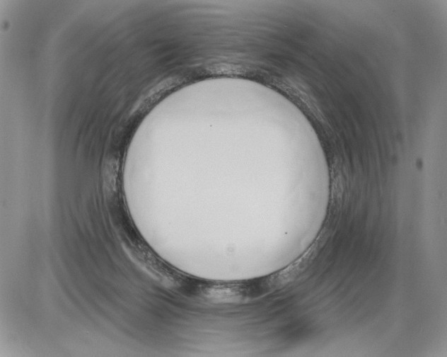 X0000086070171200704202135