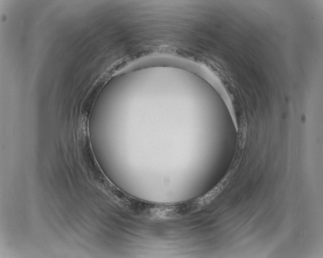 X0000086070172200704202135