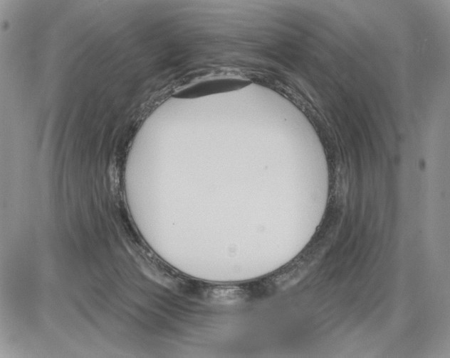 X0000086070173200704202135