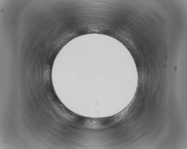 X0000086070174200704202135