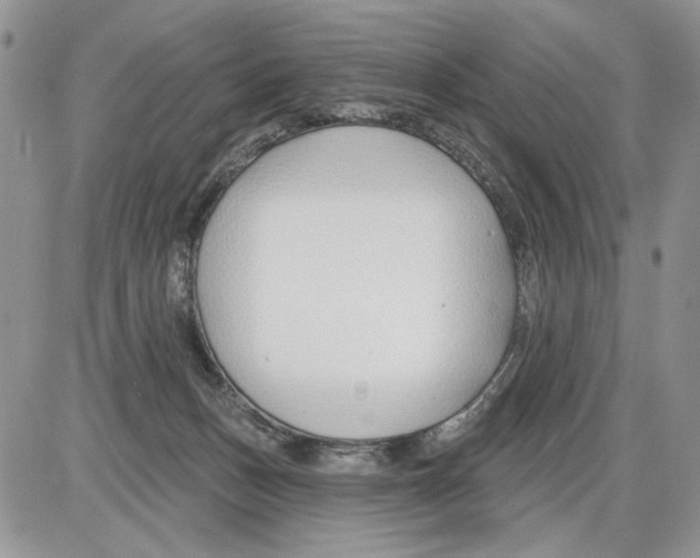 X0000086070175200704202135