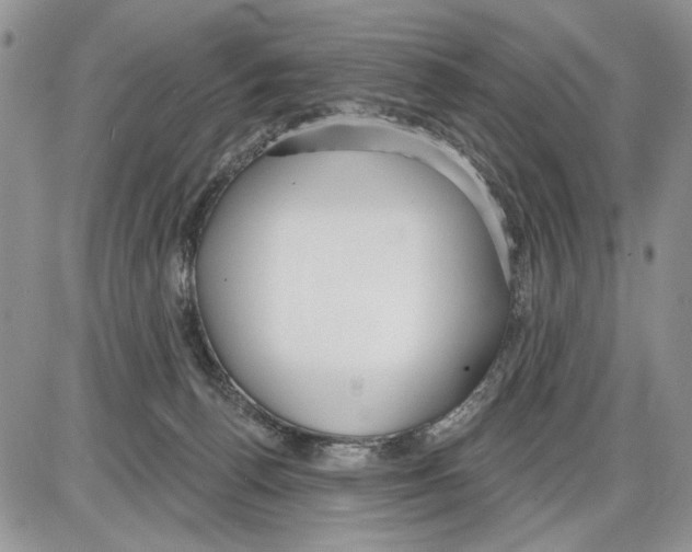 X0000086070176200704202135