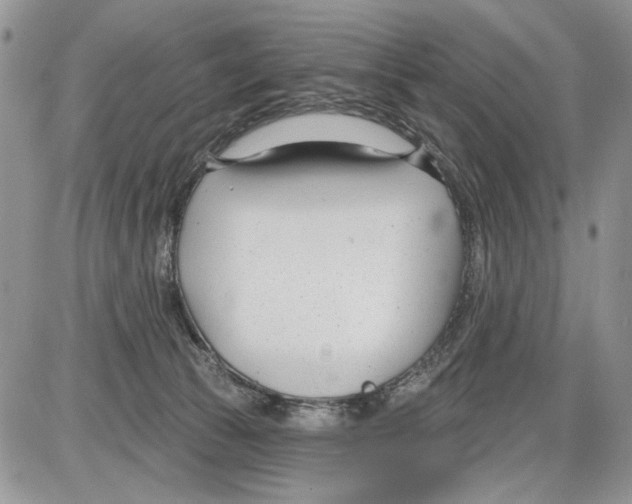 X0000086070177200704202135