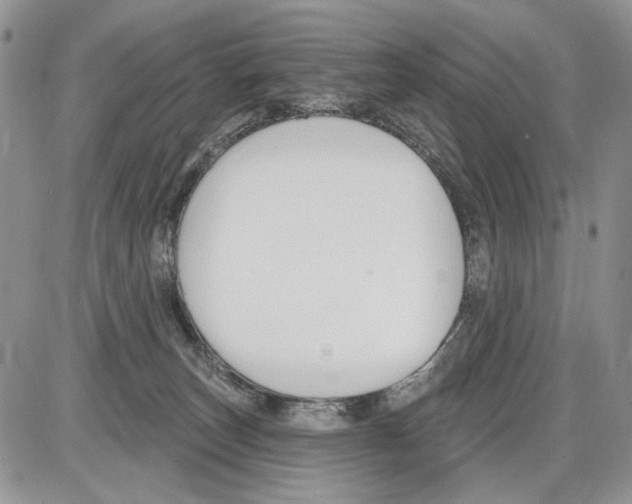 X0000086070179200704202135