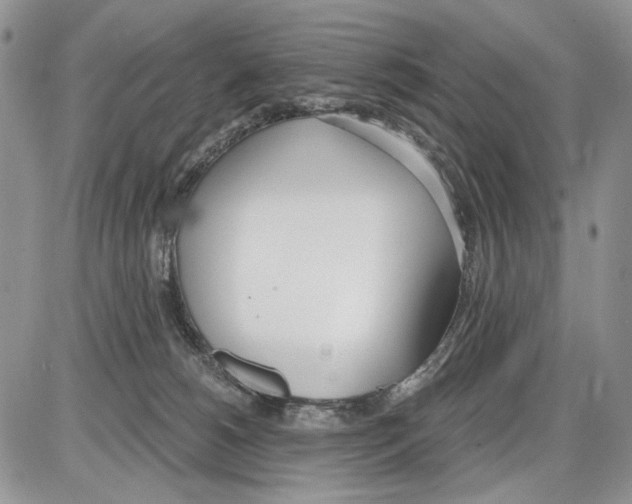 X0000086070180200704202135