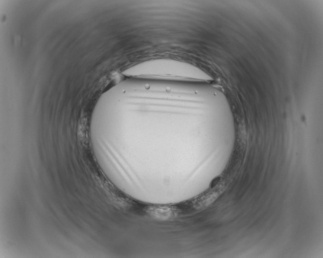 X0000086070181200704202135