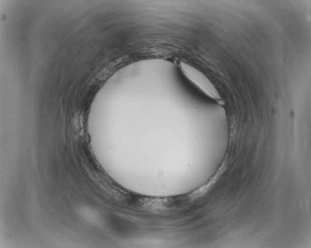 X0000086070182200704202135