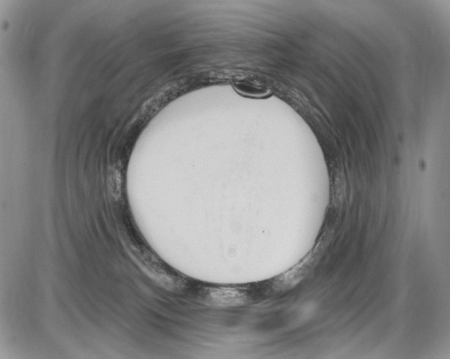 X0000086070183200704202135