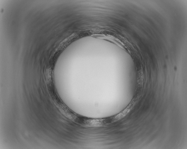 X0000086070184200704202135