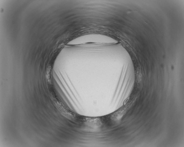 X0000086070185200704202135