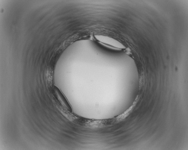 X0000086070186200704202135