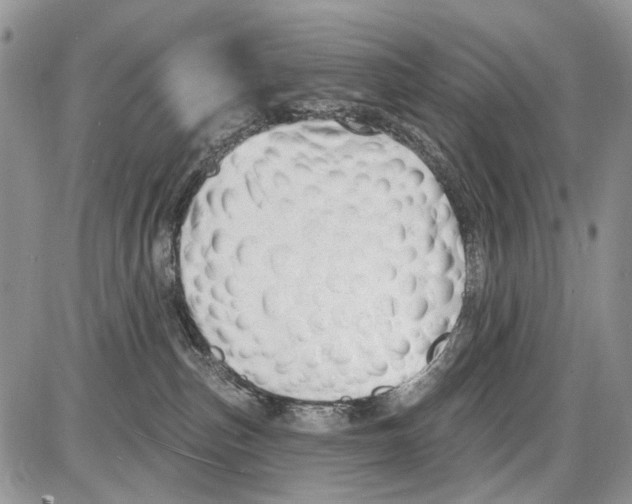 X0000086070187200704202135