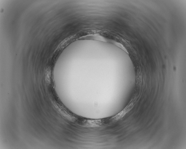 X0000086070188200704202135