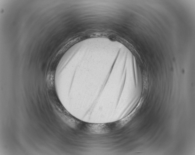 X0000086070191200704202135