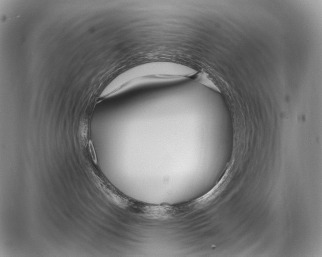 X0000086070192200704202135