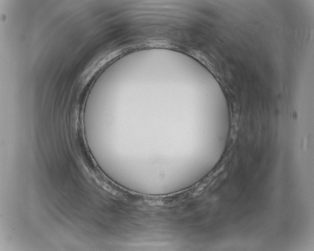 X0000086070194200704202135