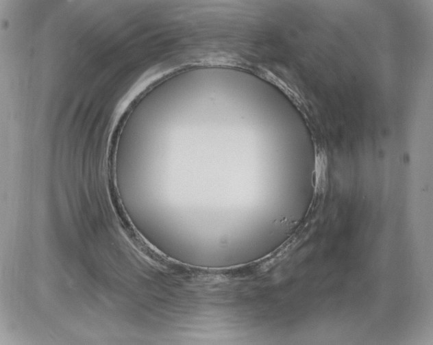 X0000086070195200704202135