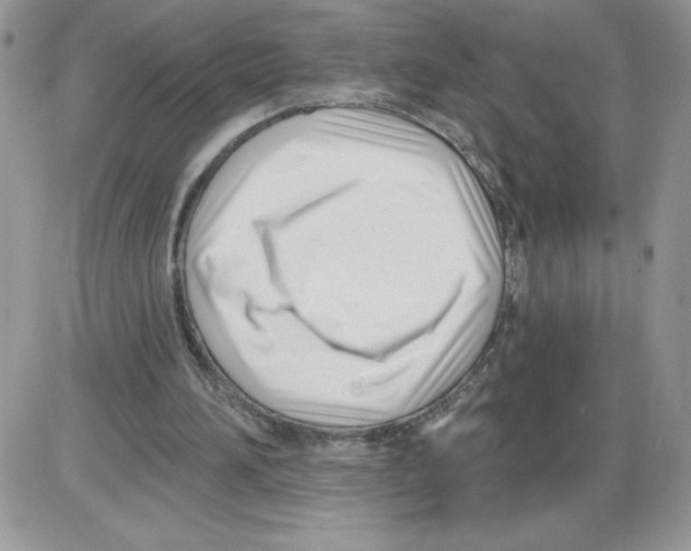 X0000086070196200704202135