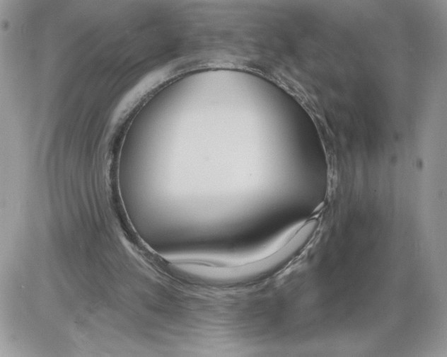 X0000086070197200704202135