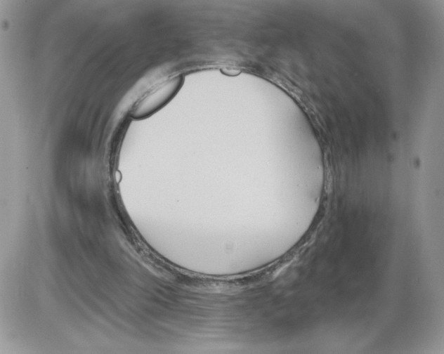 X0000086070198200704202135